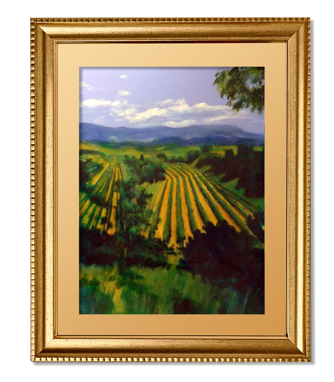 Capriva del friuli framed